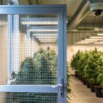 Why Cannabis Facilities Choose Crimsafe Over Traditional Security Solutions